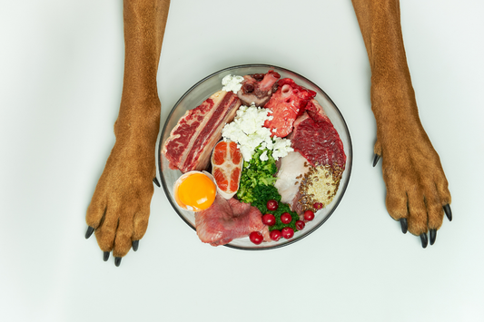 Discover how scientifically-backed collagen supplementation supports canine joint health, enhancing mobility, reducing inflammation, and improving quality of life.