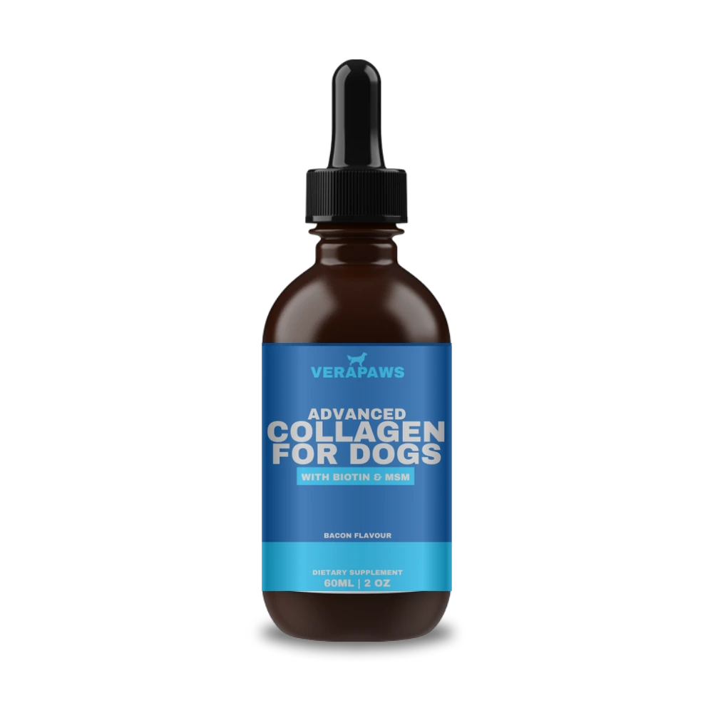 Advanced Collagen for Dogs Dropper