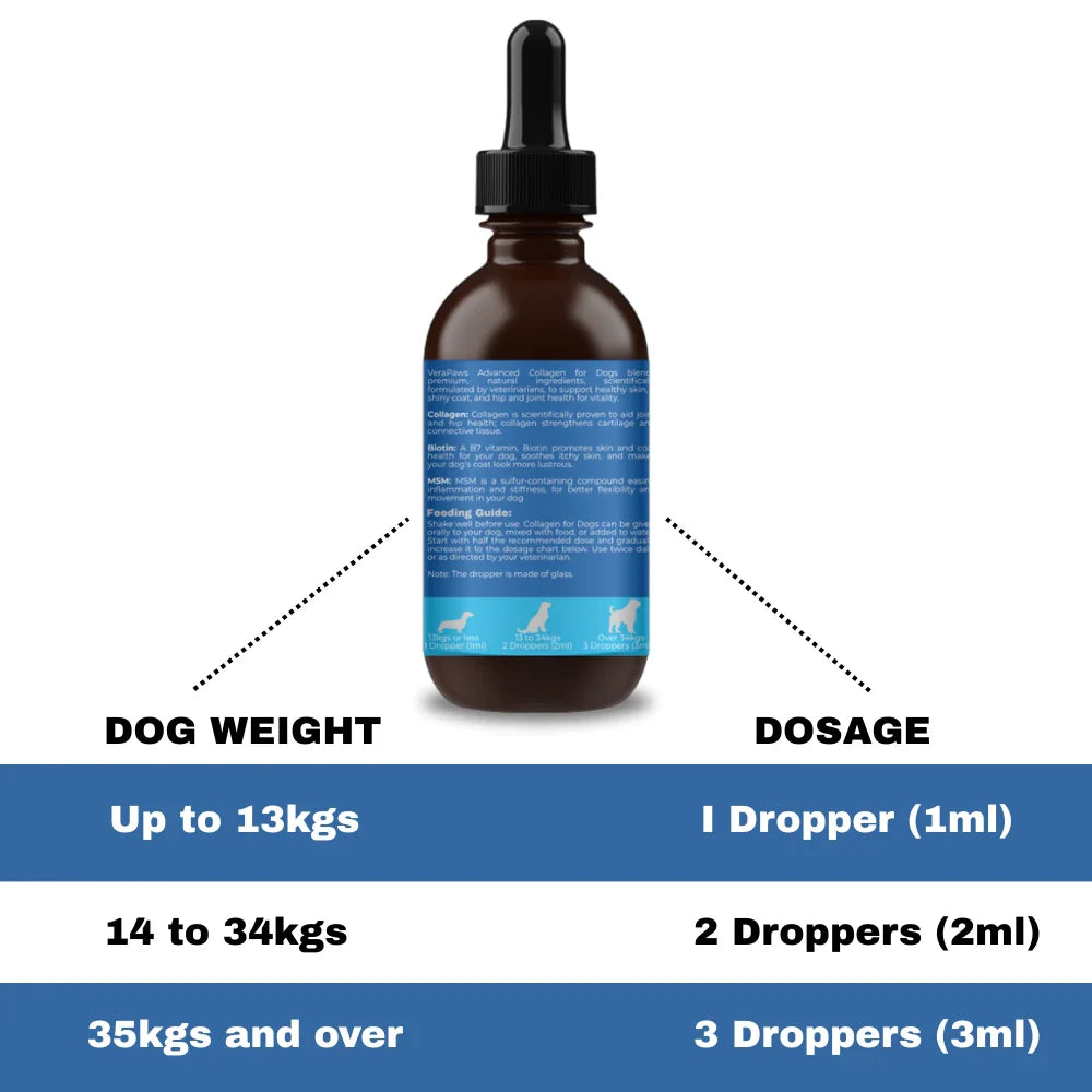 Collagen For Dogs