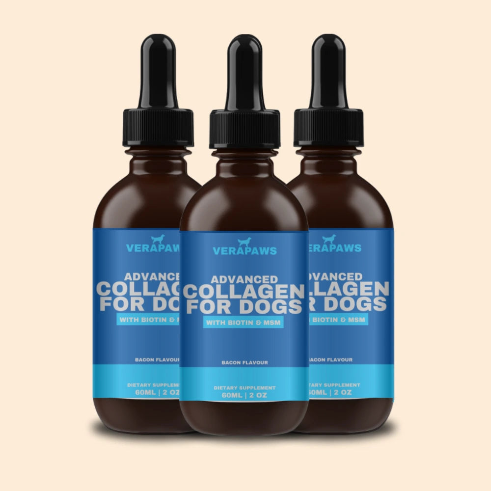 Liquid Collagen For Dog - Pack 3