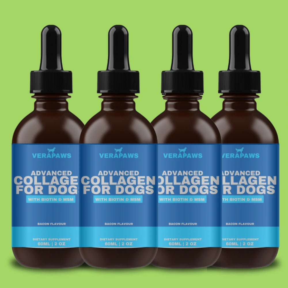 Advanced Collagen For Dogs - Pack 