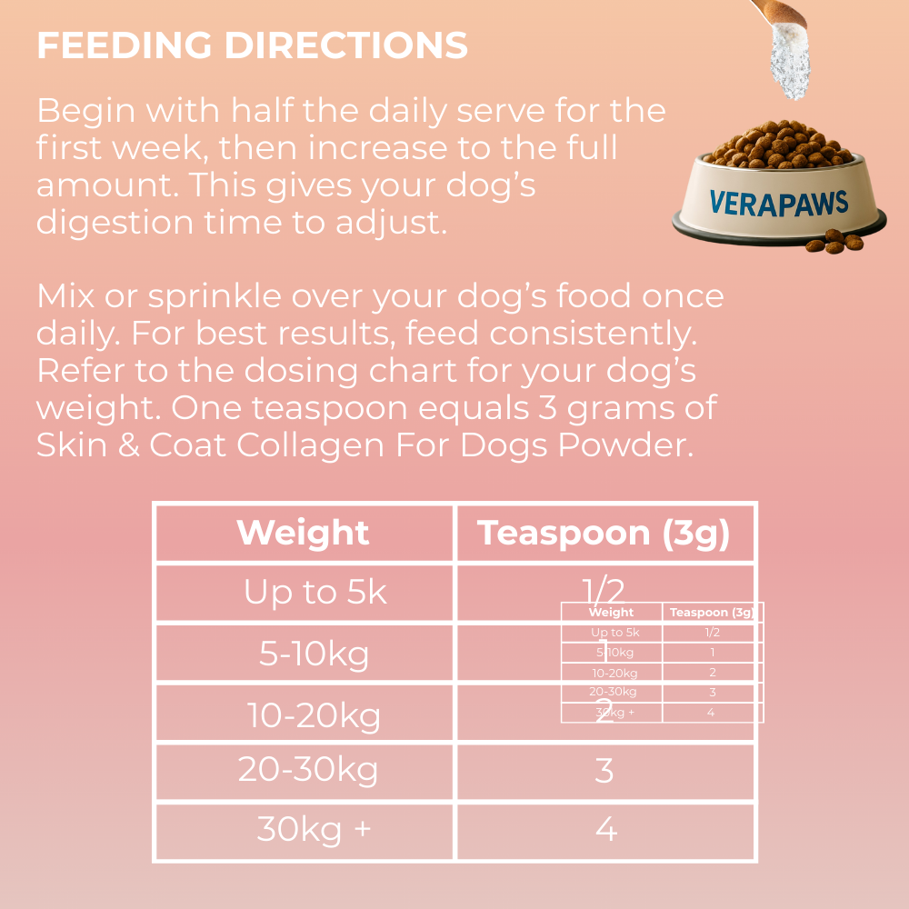 Skin and Coat Collagen For Dogs