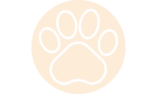 Liquid Collagen, Biotin, MSM coat paws