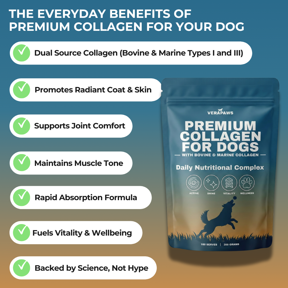 Advertisement for Verapaws Premium Collagen for Dogs with a list of benefits and product packaging.