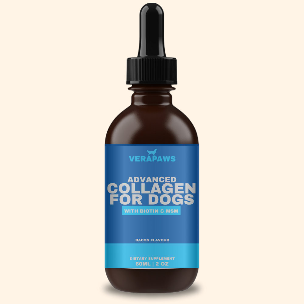Collagen For Dogs
