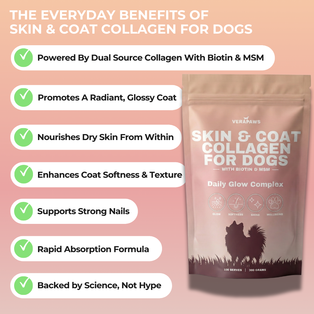 Product packaging for 'Skin & Coat Collagen for Dogs' with listed benefits on a pink background