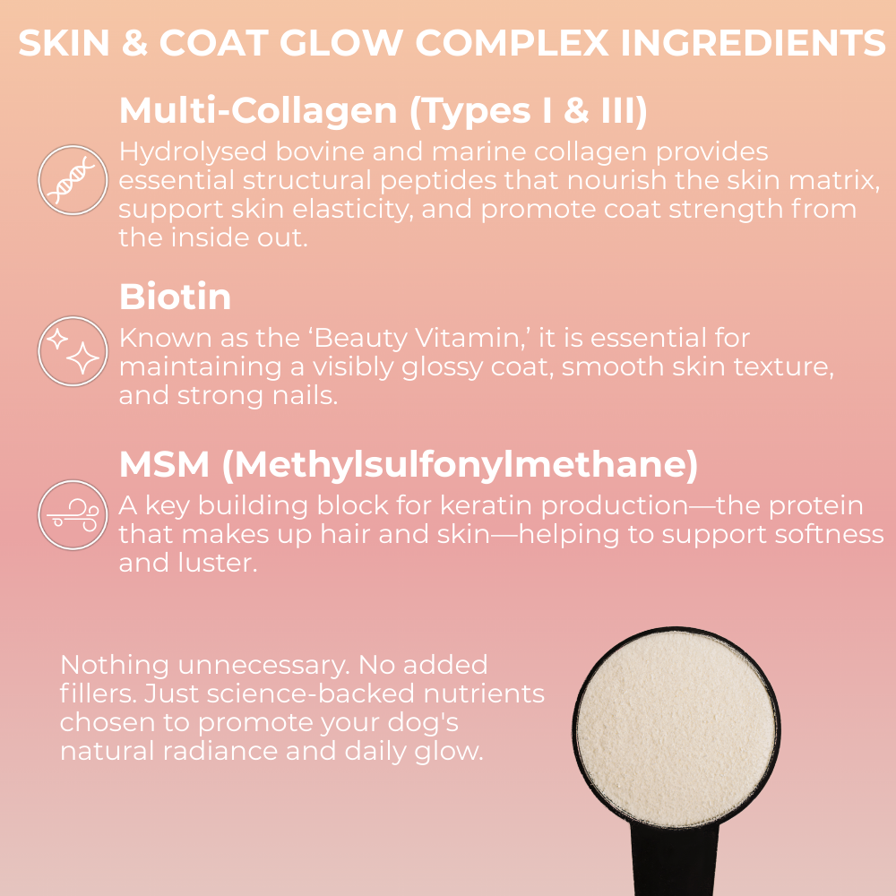 Product packaging with text detailing skin and coat glow complex ingredients on a pink background.