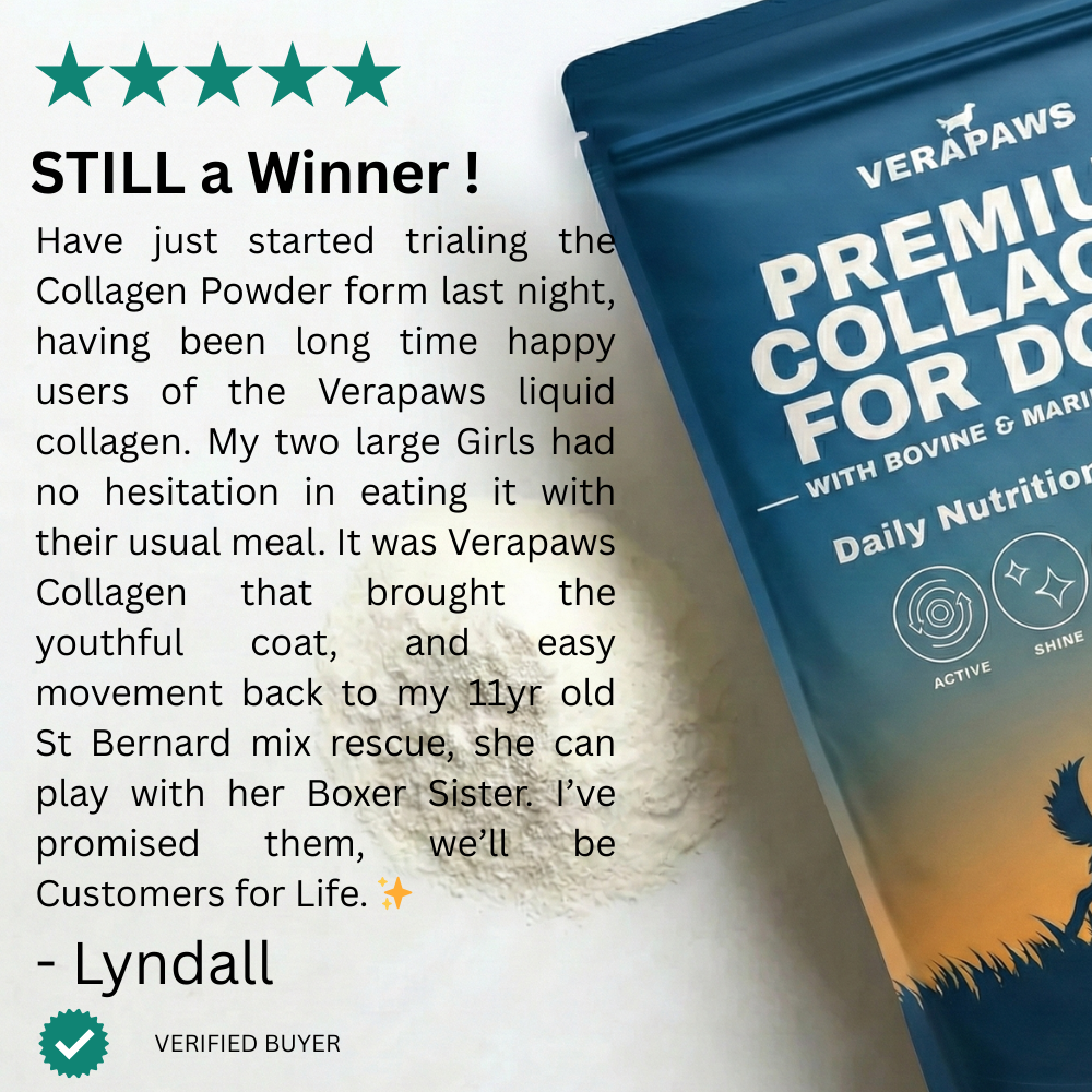 Verapaws Premium Collagen for Dogs packaging with a customer review on a white background