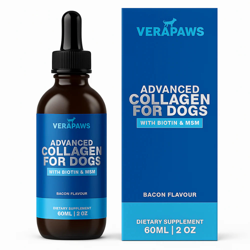 Collagen For Dogs