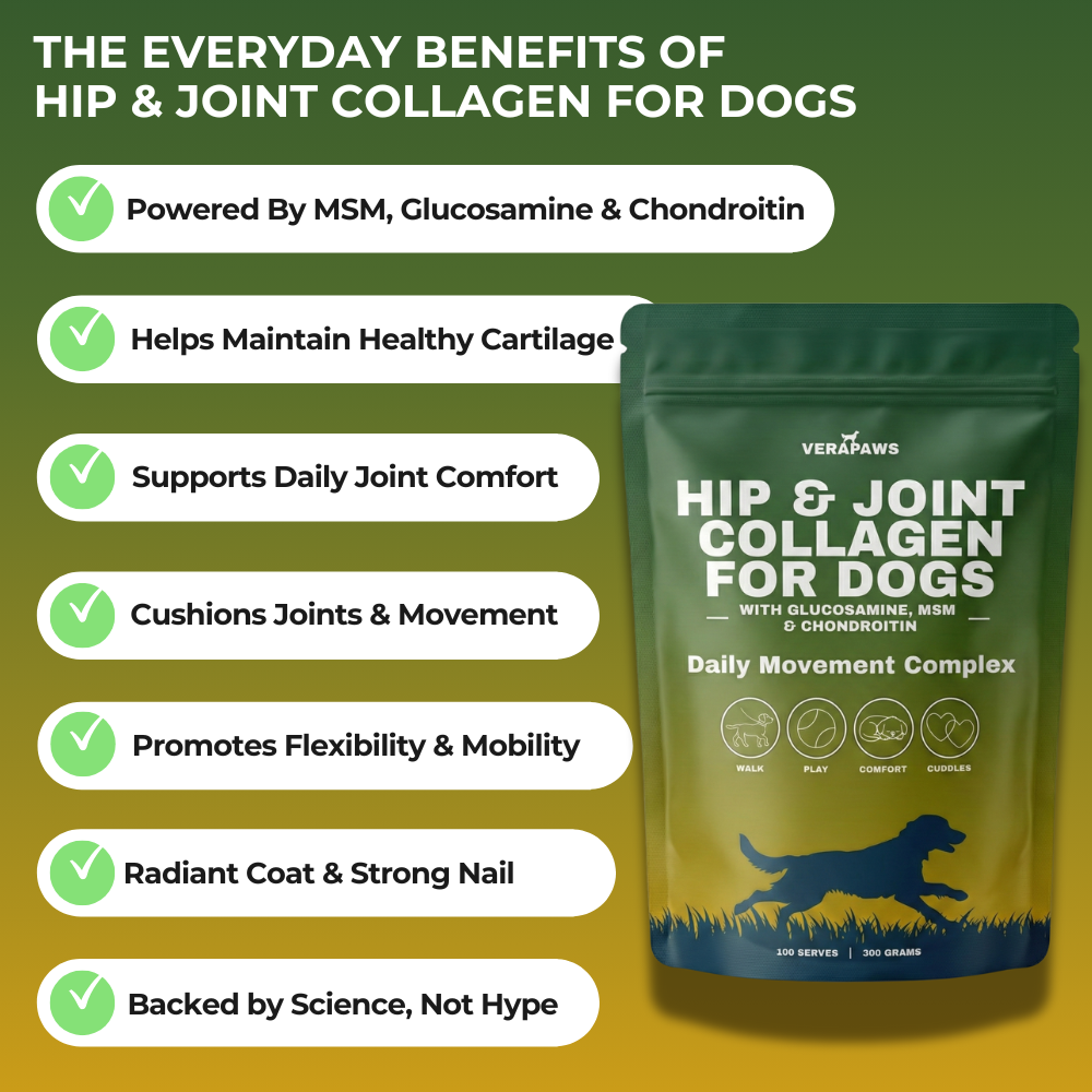 Hip & Joint Collagen For Dogs