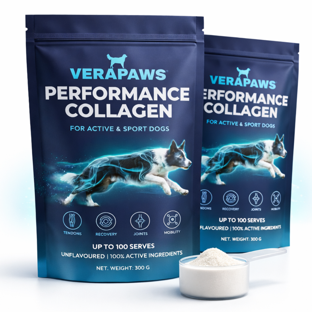 Performance Collagen For Active and Sport Dogs