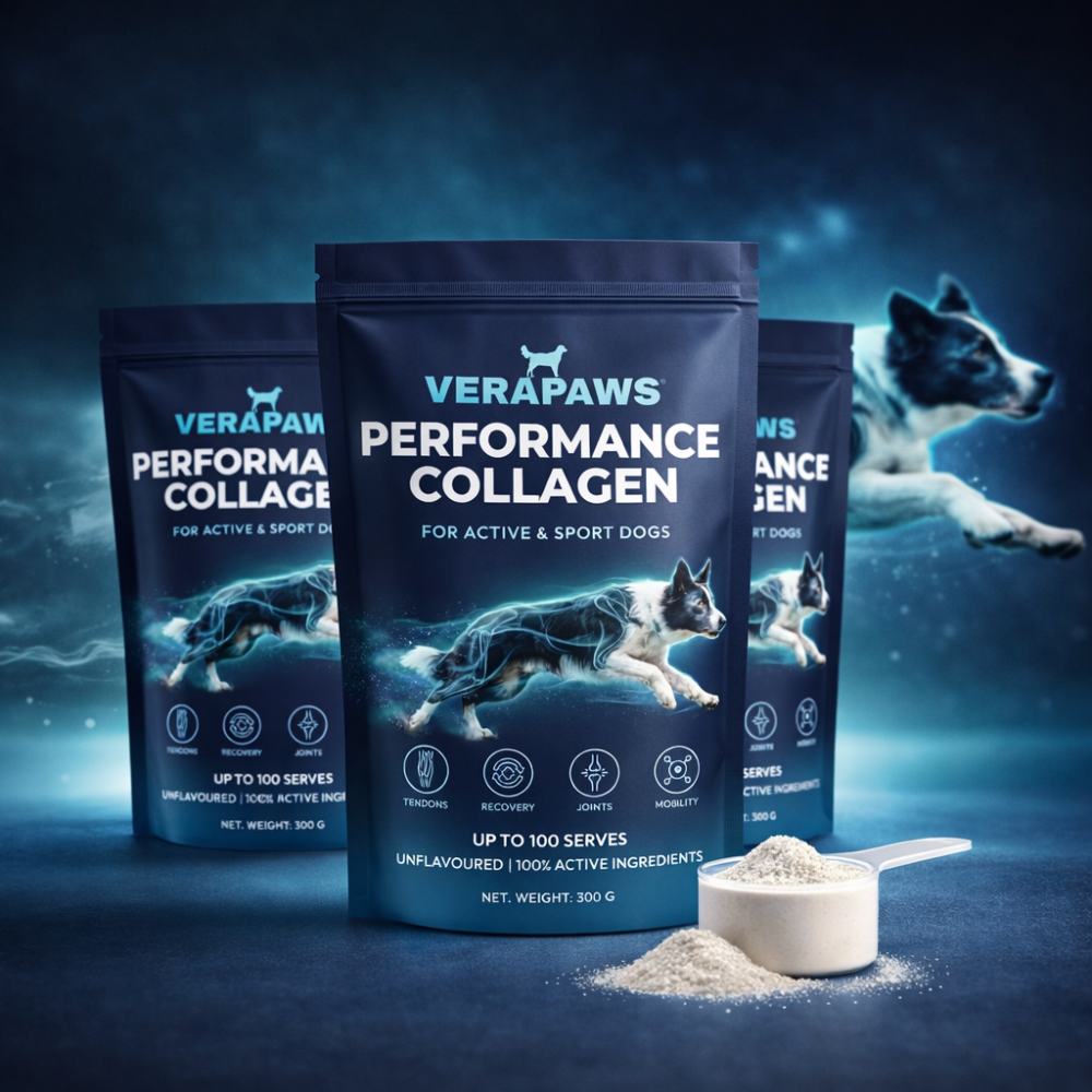 VERAPAWS Performance Collagen packages with a scoop of powder on a dark blue background